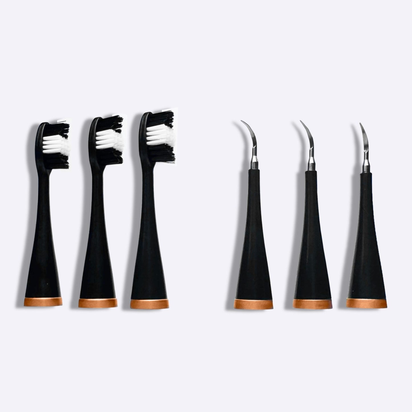 3 têtes de brosse à dents + 3 têtes de détartreur - Noir