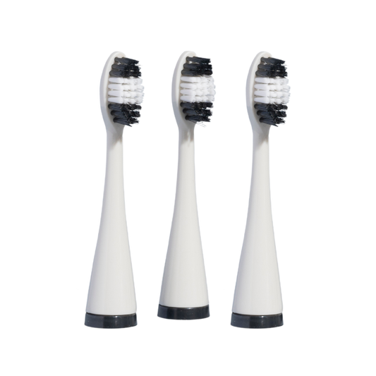 Têtes de brosse à dents Dentex — Lot de 3