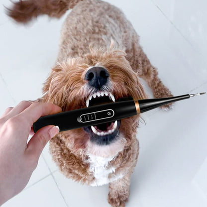 Kit Dentex - Détartreur Dentaire Sonique Pour Chien
