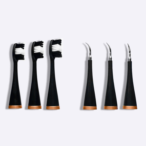 3 têtes de brosse à dents + 3 têtes de détartreur - Noir